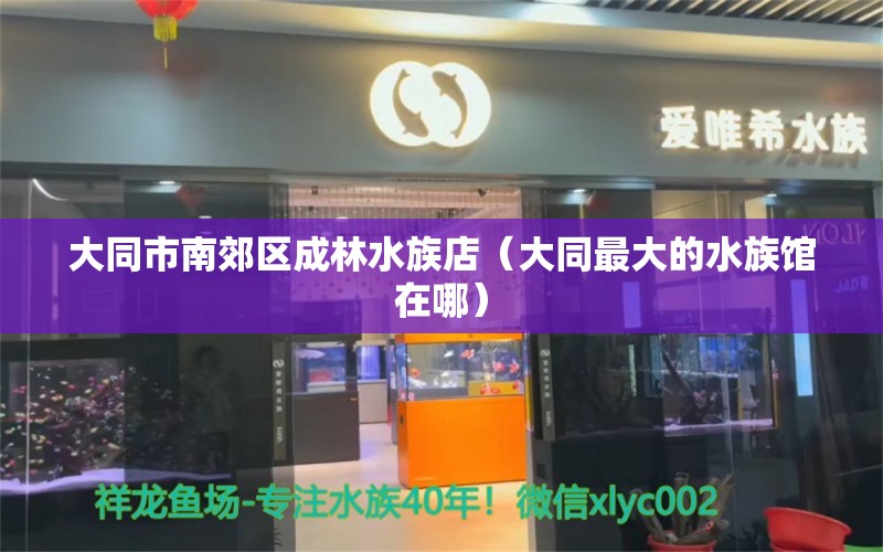 大同市南郊區(qū)成林水族店（大同最大的水族館在哪）