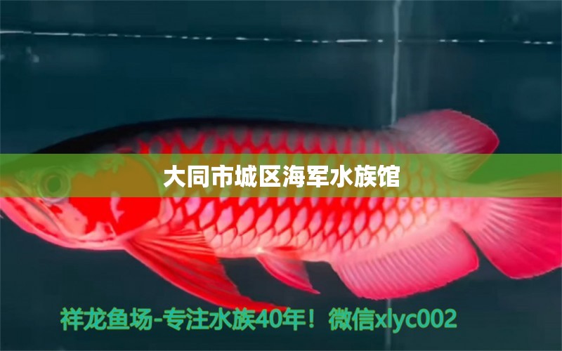 大同市城區(qū)海軍水族館