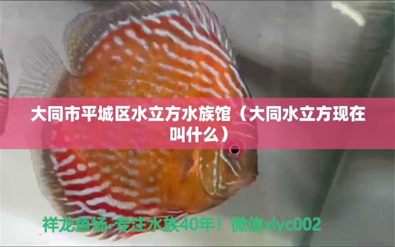 大同市平城區(qū)水立方水族館（大同水立方現(xiàn)在叫什么） 全國水族館企業(yè)名錄