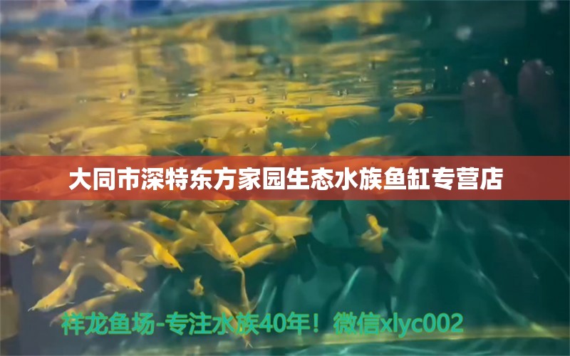 大同市深特東方家園生態(tài)水族魚(yú)缸專(zhuān)營(yíng)店 全國(guó)水族館企業(yè)名錄