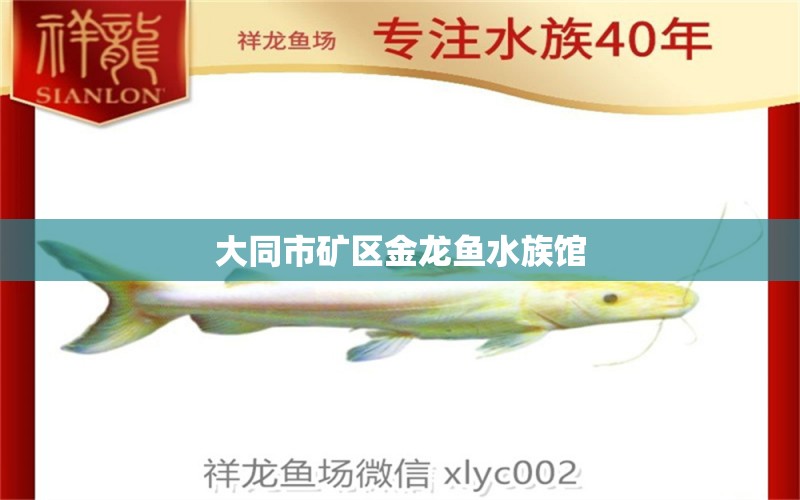 大同市礦區(qū)金龍魚(yú)水族館 全國(guó)水族館企業(yè)名錄