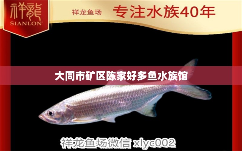 大同市礦區(qū)陳家好多魚水族館