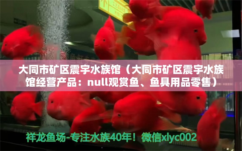 大同市礦區(qū)震宇水族館（大同市礦區(qū)震宇水族館經(jīng)營產(chǎn)品：null觀賞魚、魚具用品零售） 全國觀賞魚市場 第1張