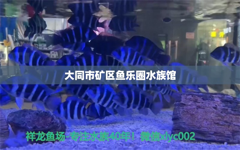 大同市礦區(qū)魚樂(lè)圈水族館