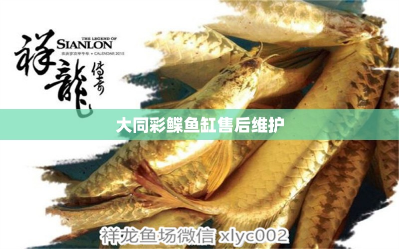 大同彩鰈魚缸售后維護(hù)