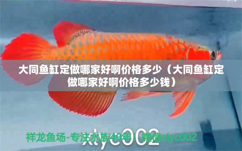 大同魚缸定做哪家好啊價(jià)格多少（大同魚缸定做哪家好啊價(jià)格多少錢）