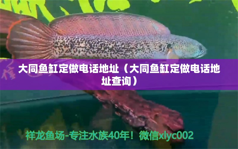 大同魚缸定做電話地址（大同魚缸定做電話地址查詢） 祥龍水族醫(yī)院