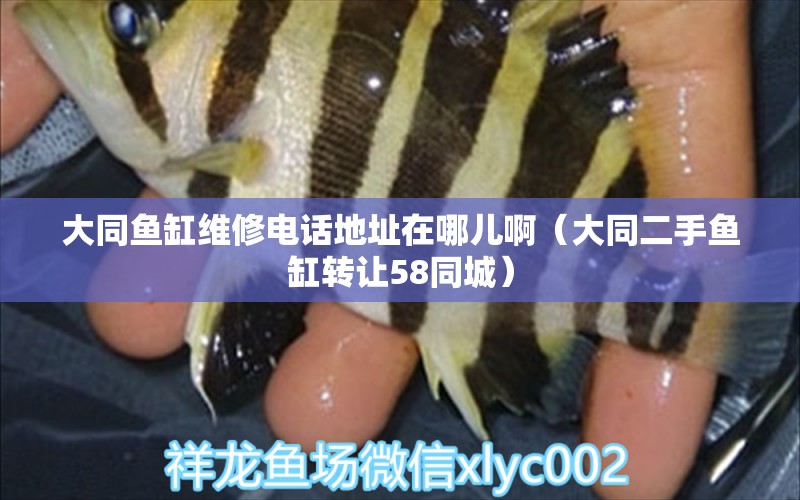 大同魚缸維修電話地址在哪兒啊（大同二手魚缸轉(zhuǎn)讓58同城） 魚缸等水族設(shè)備 第1張