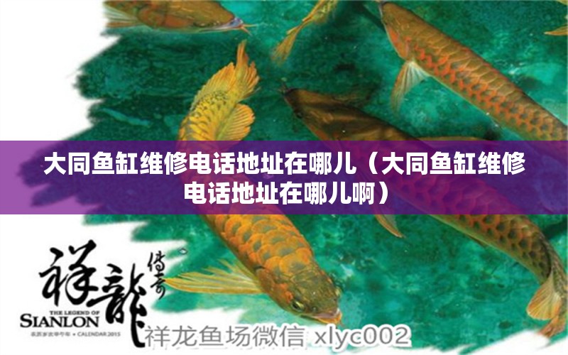 大同魚缸維修電話地址在哪兒（大同魚缸維修電話地址在哪兒?。? title=