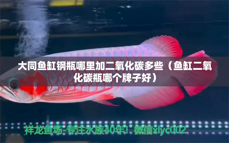 大同魚缸鋼瓶哪里加二氧化碳多些（魚缸二氧化碳瓶哪個牌子好）