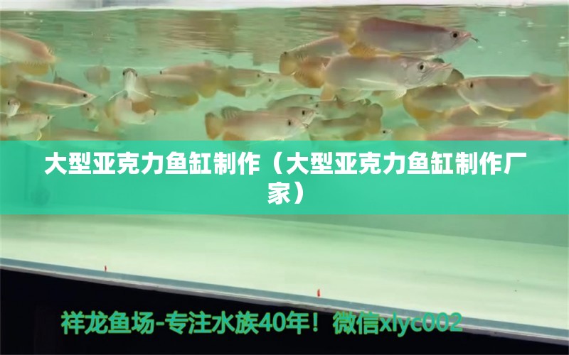 大型亞克力魚(yú)缸制作（大型亞克力魚(yú)缸制作廠家）