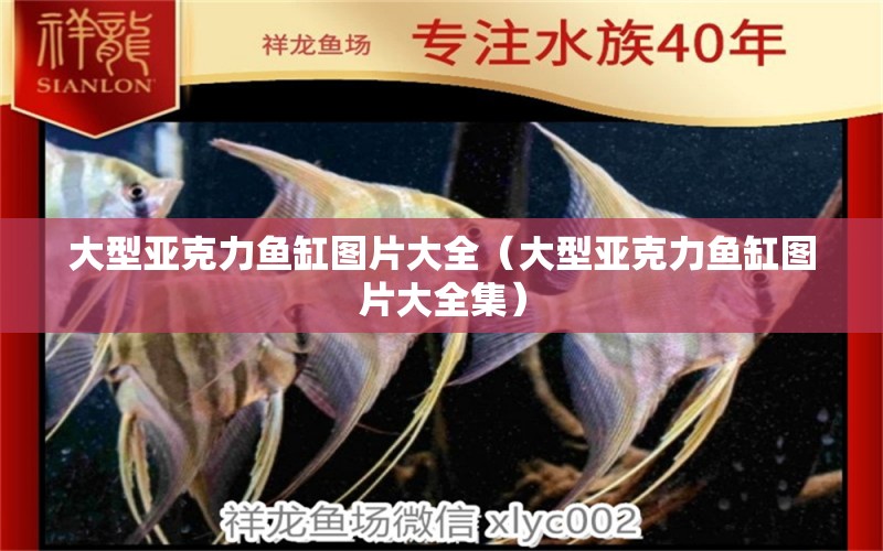 大型亞克力魚缸圖片大全（大型亞克力魚缸圖片大全集） 紅勾銀版魚