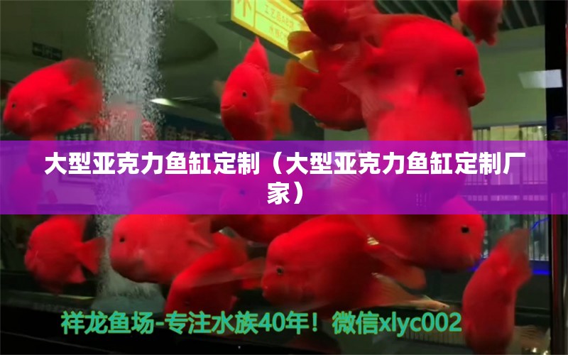 大型亞克力魚缸定制（大型亞克力魚缸定制廠家）