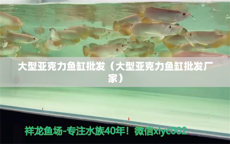 大型亞克力魚(yú)缸批發(fā)（大型亞克力魚(yú)缸批發(fā)廠家） 其他品牌魚(yú)缸