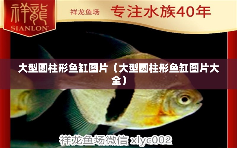 大型圓柱形魚(yú)缸圖片（大型圓柱形魚(yú)缸圖片大全） 巨骨舌魚(yú)