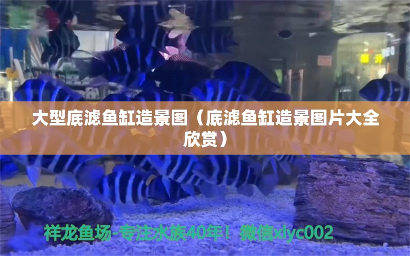 大型底濾魚缸造景圖（底濾魚缸造景圖片大全欣賞） 祥龍魚場其他產(chǎn)品