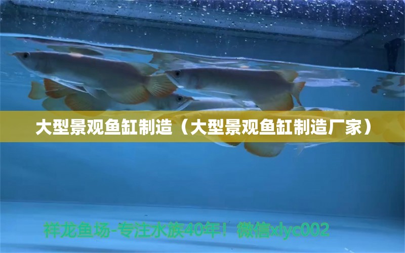 大型景觀魚缸制造（大型景觀魚缸制造廠家）