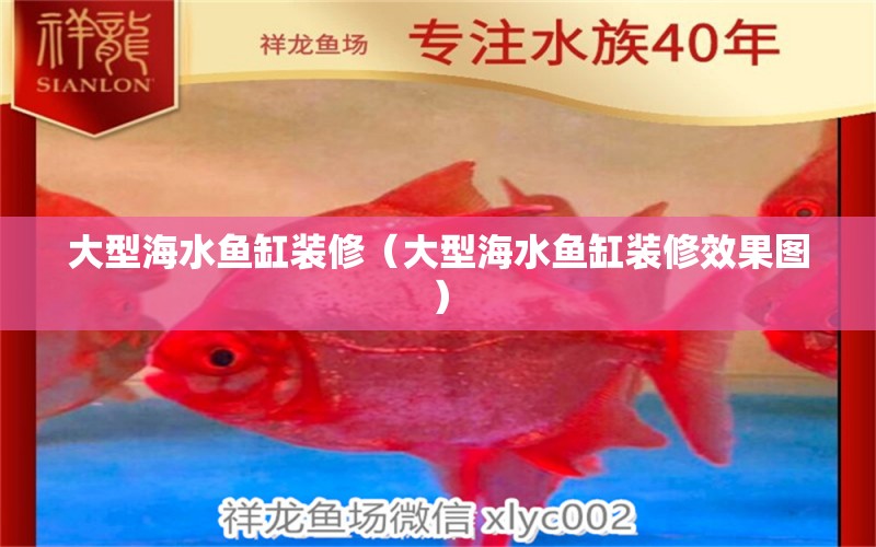 大型海水魚(yú)缸裝修（大型海水魚(yú)缸裝修效果圖） 海水魚(yú)