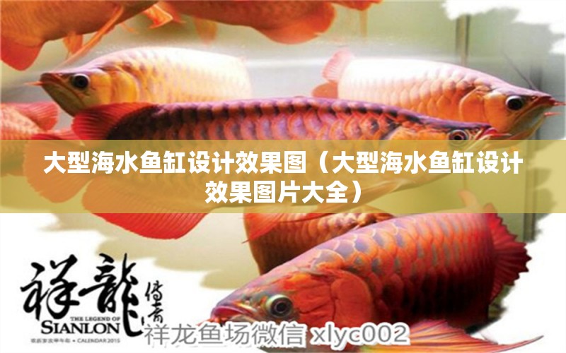 大型海水魚缸設(shè)計(jì)效果圖（大型海水魚缸設(shè)計(jì)效果圖片大全）