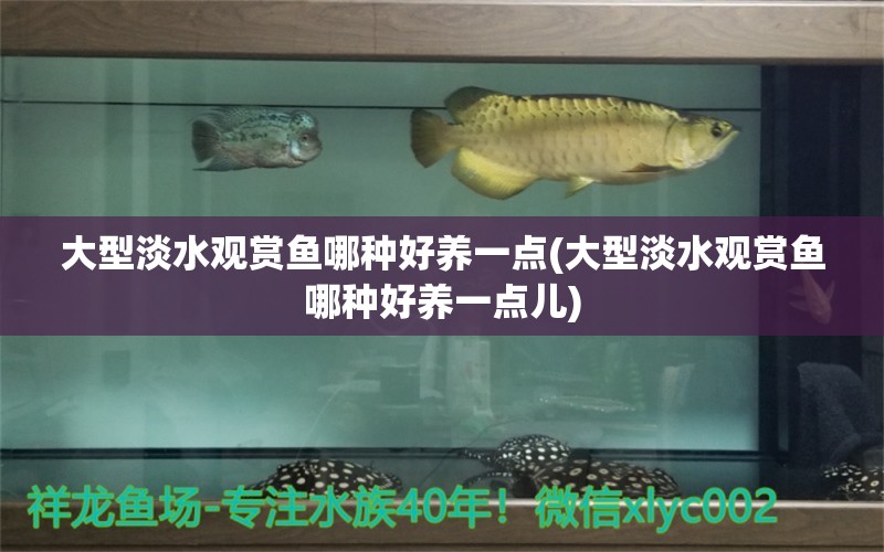 大型淡水觀賞魚哪種好養(yǎng)一點(diǎn)(大型淡水觀賞魚哪種好養(yǎng)一點(diǎn)兒) 觀賞魚企業(yè)目錄