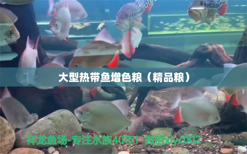 大型熱帶魚(yú)增色糧（精品糧）