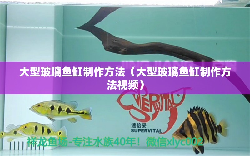 大型玻璃魚缸制作方法（大型玻璃魚缸制作方法視頻） 其他品牌魚缸