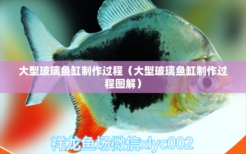 大型玻璃魚缸制作過程（大型玻璃魚缸制作過程圖解）