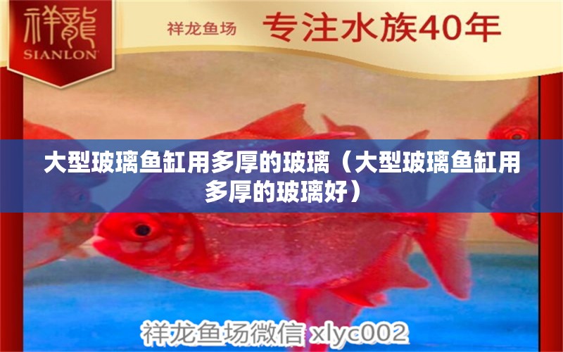 大型玻璃魚缸用多厚的玻璃（大型玻璃魚缸用多厚的玻璃好） 祥龍水族醫(yī)院