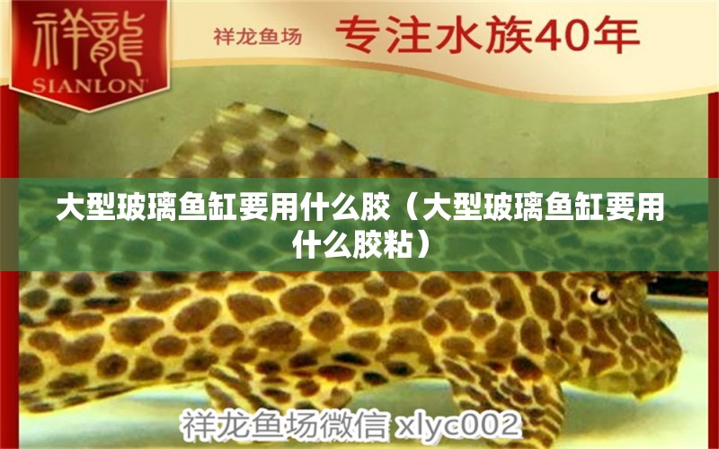 大型玻璃魚缸要用什么膠（大型玻璃魚缸要用什么膠粘）