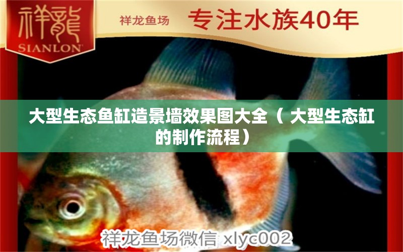 大型生態(tài)魚(yú)缸造景墻效果圖大全（ 大型生態(tài)缸的制作流程）