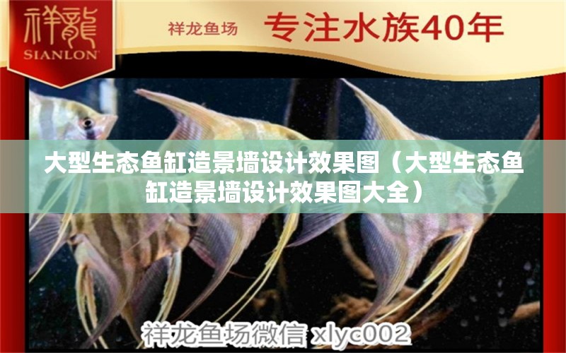 大型生態(tài)魚缸造景墻設(shè)計(jì)效果圖（大型生態(tài)魚缸造景墻設(shè)計(jì)效果圖大全）