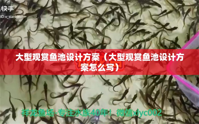 大型觀賞魚(yú)池設(shè)計(jì)方案（大型觀賞魚(yú)池設(shè)計(jì)方案怎么寫(xiě)）