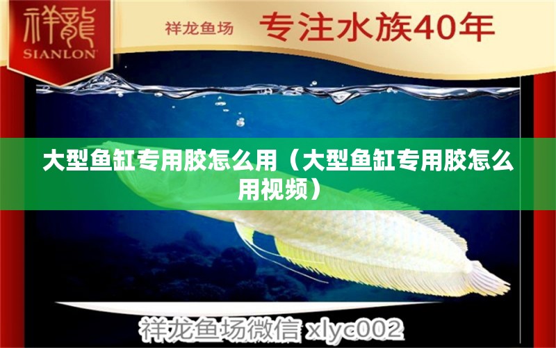 大型魚缸專用膠怎么用（大型魚缸專用膠怎么用視頻） 量子養(yǎng)魚技術(shù)