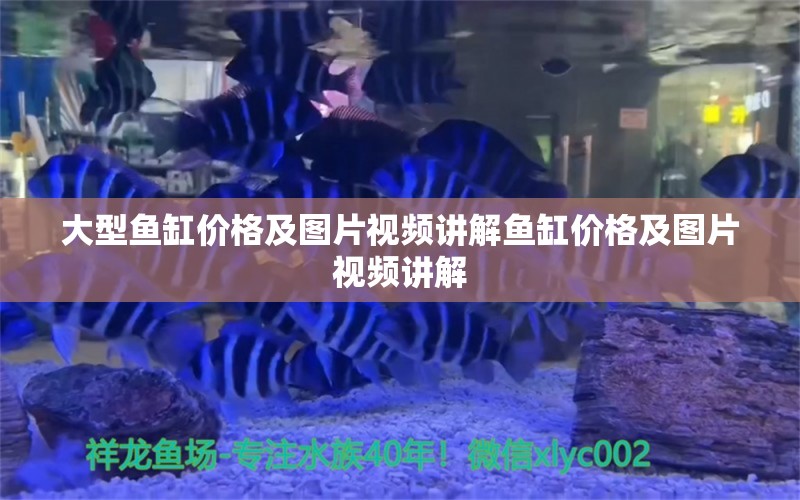 大型魚缸價(jià)格及圖片視頻講解魚缸價(jià)格及圖片視頻講解