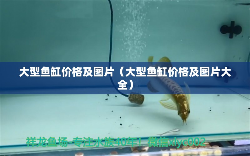 大型魚缸價格及圖片（大型魚缸價格及圖片大全） iwish愛唯希品牌魚缸