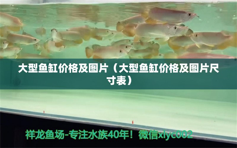 大型魚(yú)缸價(jià)格及圖片（大型魚(yú)缸價(jià)格及圖片尺寸表） 觀賞魚(yú)