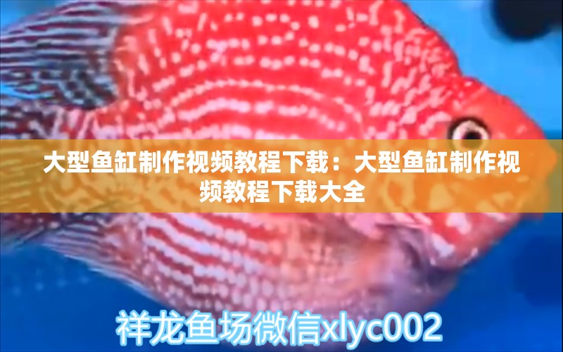 大型魚缸制作視頻教程下載：大型魚缸制作視頻教程下載大全