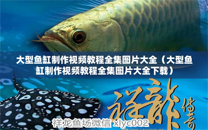 大型魚(yú)缸制作視頻教程全集圖片大全（大型魚(yú)缸制作視頻教程全集圖片大全下載） 其他品牌魚(yú)缸