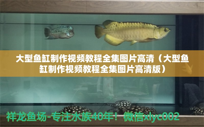 大型魚缸制作視頻教程全集圖片高清（大型魚缸制作視頻教程全集圖片高清版） 其他品牌魚缸