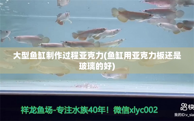 大型魚缸制作過程亞克力(魚缸用亞克力板還是玻璃的好) 黑金魟魚