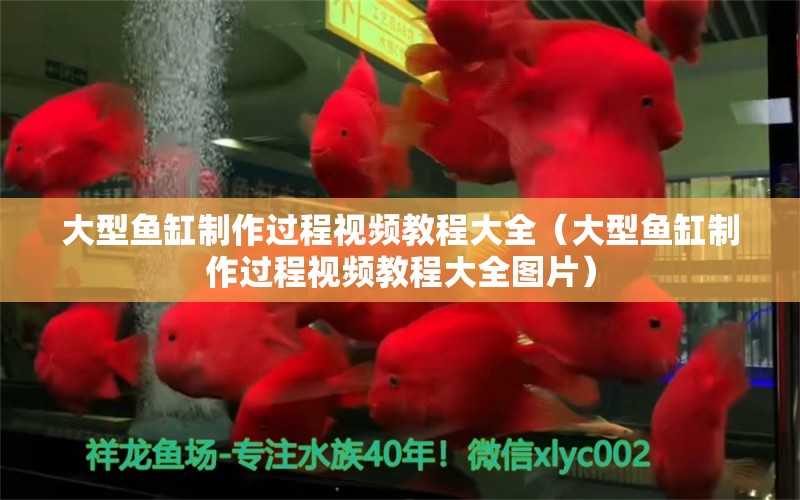 大型魚缸制作過程視頻教程大全（大型魚缸制作過程視頻教程大全圖片） 祥龍水族醫(yī)院