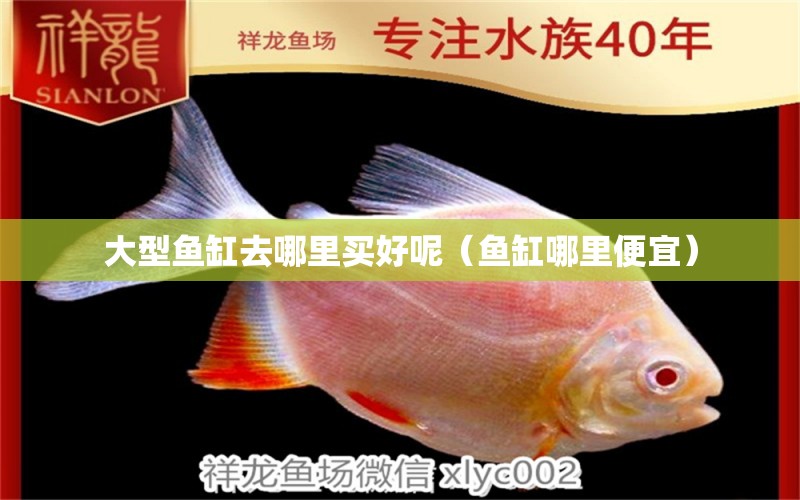 大型魚缸去哪里買好呢（魚缸哪里便宜） 彩鰈魚缸（彩蝶魚缸）