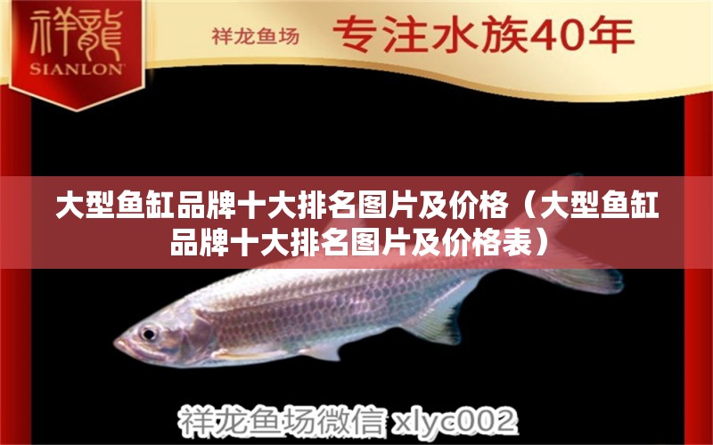 大型魚缸品牌十大排名圖片及價(jià)格（大型魚缸品牌十大排名圖片及價(jià)格表）