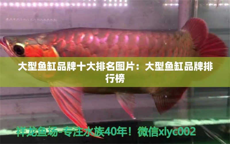 大型魚缸品牌十大排名圖片：大型魚缸品牌排行榜