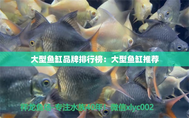 大型魚缸品牌排行榜：大型魚缸推薦