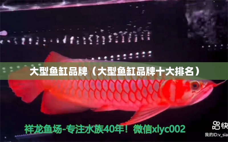 大型魚缸品牌（大型魚缸品牌十大排名）