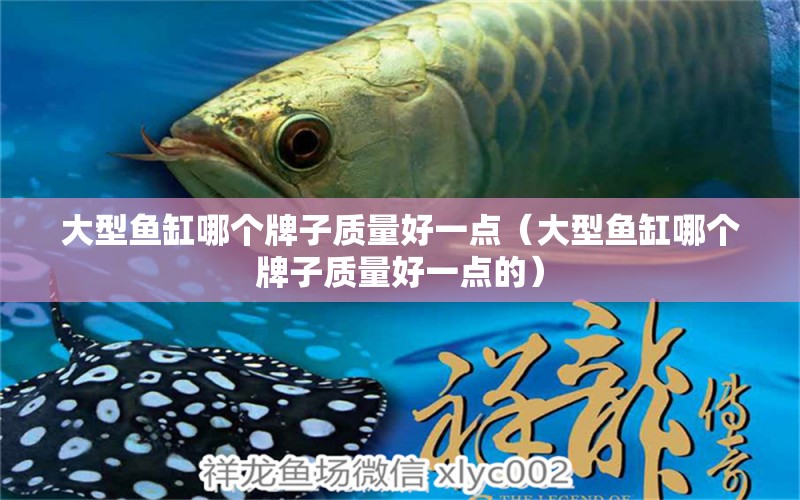 大型魚缸哪個牌子質(zhì)量好一點(diǎn)（大型魚缸哪個牌子質(zhì)量好一點(diǎn)的） iwish愛唯希品牌魚缸