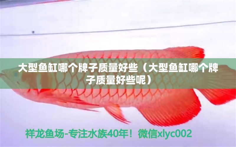 大型魚(yú)缸哪個(gè)牌子質(zhì)量好些（大型魚(yú)缸哪個(gè)牌子質(zhì)量好些呢） iwish愛(ài)唯希品牌魚(yú)缸