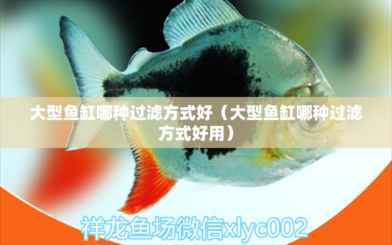 大型魚缸哪種過濾方式好（大型魚缸哪種過濾方式好用）