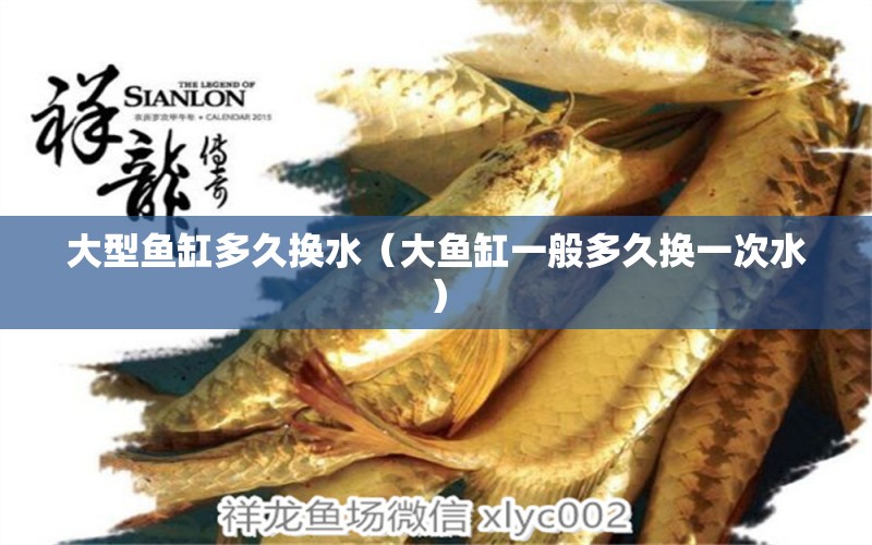 大型魚缸多久換水（大魚缸一般多久換一次水） 廣州觀賞魚魚苗批發(fā)市場